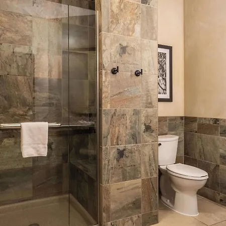 Hotel Drury Plaza In 4*